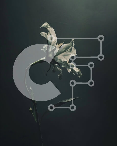 2ikBRHMEYQfFCsSK9OsMRtiG8Zb-desktop