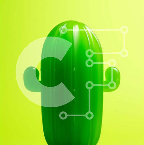 Intra Συλλεκτικό Ξύλινο Παζλ Plywood 4mm - Πράσινος πλαστικός κάκτος σε πορτοκαλί φόντο Σε Ξύλινο Κουτί - Διαστάσεις: 10x10 cm – 25 κομμάτια - Image 1