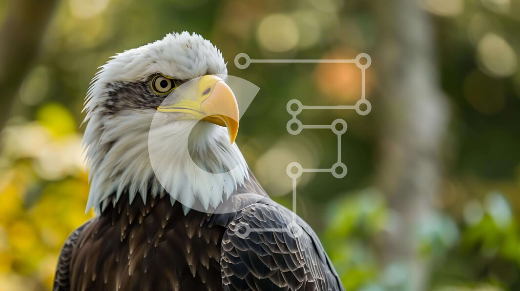 Intra Συλλεκτικό Ξύλινο Παζλ Plywood  4mm - Κοντινό πλάνο του Majestic Eagle στο δάσος Σε Ξύλινο Κουτί - Διαστάσεις: 10x10 cm – 25 κομμάτια