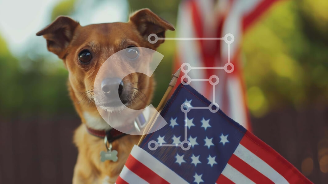 Intra Συλλεκτικό Ξύλινο Παζλ Plywood  4mm - Καφέ σκυλί που κρατά την αμερικανική σημαία Σε Ξύλινο Κουτί - Διαστάσεις: 10x10 cm – 25 κομμάτια