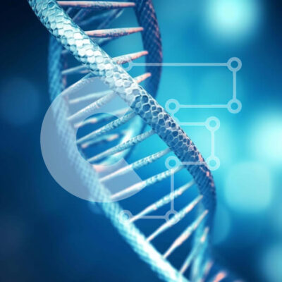 Intra Συλλεκτικό Ξύλινο Παζλ Plywood  4mm - Κοντινή εικόνα του μπλε σκέλους DNA Σε Ξύλινο Κουτί - Διαστάσεις Puzzle: 10x10 cm – 25 κομμάτια - Image 1