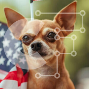 Intra Συλλεκτικό Ξύλινο Παζλ Plywood  4mm - Πατριωτικό σκυλί που γιορτάζει την 4η Ιουλίου με αμερικανική σημαία Σε Ξύλινο Κουτί - Διαστάσεις Puzzle: 10x10 cm – 25 κομμάτια