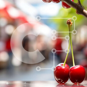 Intra Συλλεκτικό Ξύλινο Παζλ Plywood  4mm - Φρέσκα κεράσια σε κλαδί δέντρου Σε Ξύλινο Κουτί - Διαστάσεις: 10x10 cm – 25 κομμάτια - Image 1