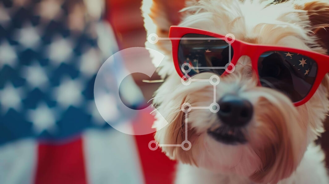 Intra Συλλεκτικό Ξύλινο Παζλ Plywood  4mm - Αξιολάτρευτο σκυλί με κόκκινα γυαλιά ηλίου με αμερικανική σημαία Σε Ξύλινο Κουτί - Διαστάσεις Puzzle: 10x10 cm – 25 κομμάτια