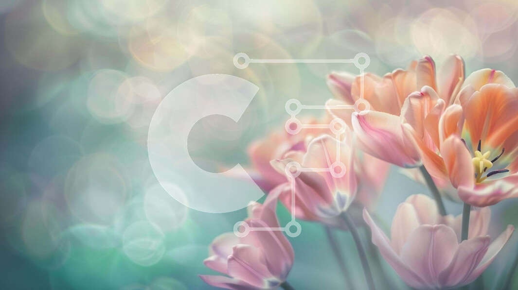 Intra Συλλεκτικό Ξύλινο Παζλ Plywood  4mm - Ροζ τουλίπες σε άνθιση Σε Ξύλινο Κουτί - Διαστάσεις: 10x10 cm – 25 κομμάτια