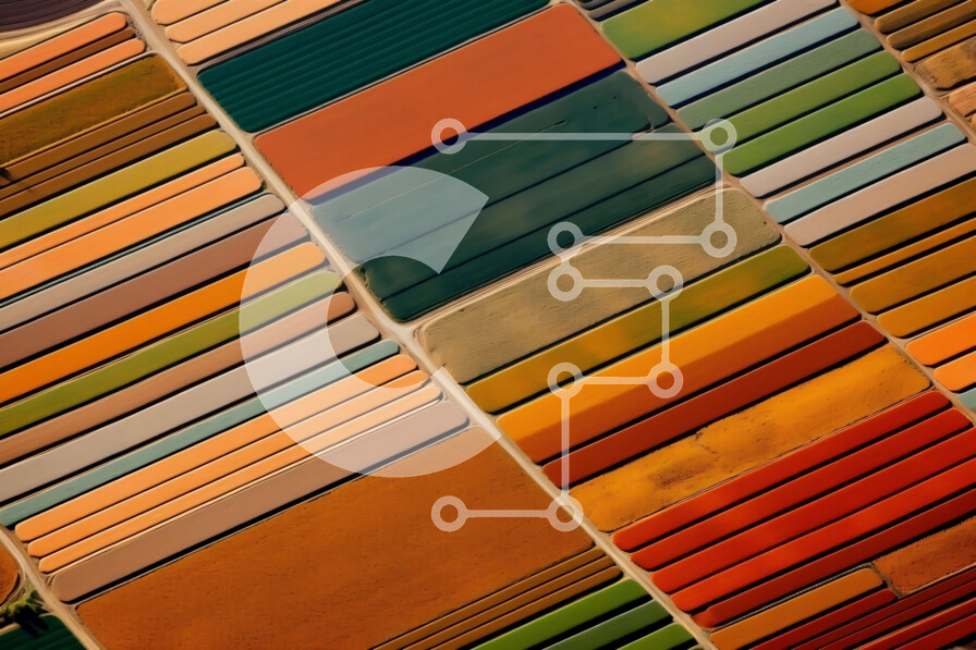 Intra Συλλεκτικό Ξύλινο Παζλ Plywood  4mm - Εκπληκτική εναέρια άποψη ενός χωραφιού λουλουδιών σε πλήρη άνθιση Σε Ξύλινο Κουτί - Διαστάσεις: 10x10 cm – 25 κομμάτια