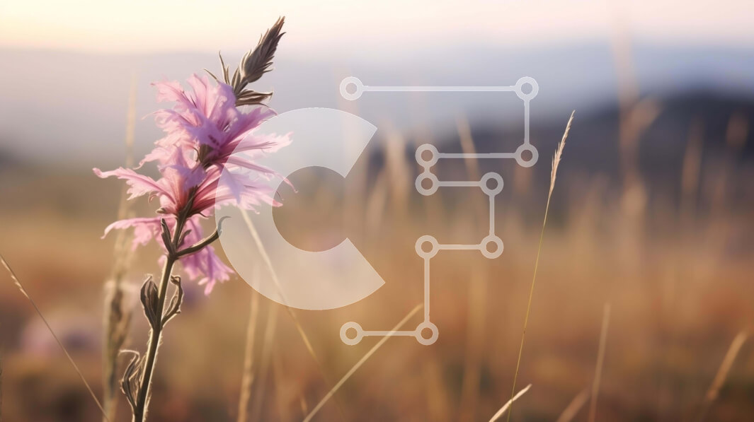 Intra Συλλεκτικό Ξύλινο Παζλ Plywood  4mm - Μονό ροζ λουλούδι σε ψηλά χόρτα Σε Ξύλινο Κουτί - Διαστάσεις: 10x10 cm – 25 κομμάτια