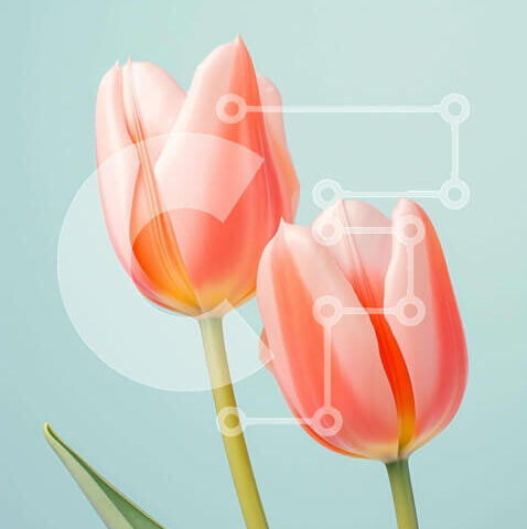 Intra Συλλεκτικό Ξύλινο Παζλ Plywood  4mm - Δύο ροζ λουλούδια τουλίπας σε βάζο με πράσινα φύλλα Σε Ξύλινο Κουτί - Διαστάσεις: 10x10 cm – 25 κομμάτια - Image 1