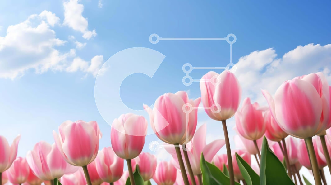 Intra Συλλεκτικό Ξύλινο Παζλ Plywood  4mm - Πεδίο με ροζ τουλίπες με μπλε ουρανό και σύννεφα Σε Ξύλινο Κουτί - Διαστάσεις: 10x10 cm – 25 κομμάτια