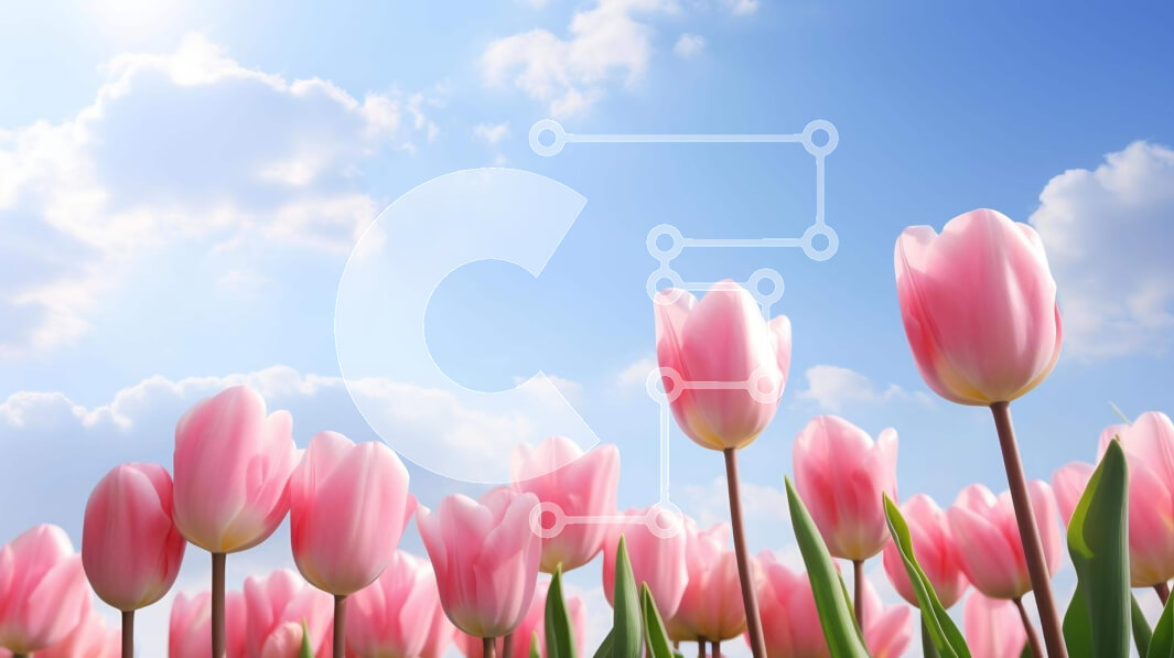 Intra Συλλεκτικό Ξύλινο Παζλ Plywood  4mm - Πεδίο με ροζ τουλίπες με μπλε ουρανό και σύννεφα Σε Ξύλινο Κουτί - Διαστάσεις: 10x10 cm – 25 κομμάτια