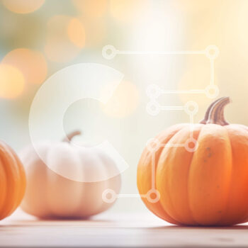 Intra Συλλεκτικό Ξύλινο Παζλ Plywood  4mm - Σειρά από πορτοκαλί και λευκές κολοκύθες σε ξύλινο τραπέζι Σε Ξύλινο Κουτί - Διαστάσεις Puzzle: 10x10 cm – 25 κομμάτια - Image 1