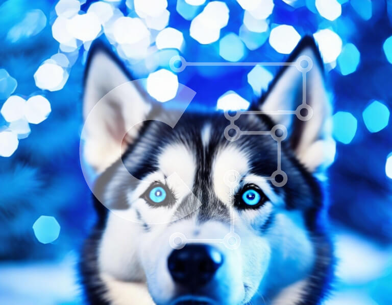 Intra Συλλεκτικό Ξύλινο Παζλ Plywood  4mm - Ασπρόμαυρος γεροδεμένος σκύλος με μπλε μάτια Σε Ξύλινο Κουτί - Διαστάσεις: 10x10 cm – 25 κομμάτια