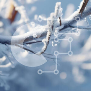 Intra Συλλεκτικό Ξύλινο Παζλ Plywood  4mm - Χιονισμένο κλαδί δέντρου το χειμώνα Σε Ξύλινο Κουτί - Διαστάσεις: 10x10 cm – 25 κομμάτια