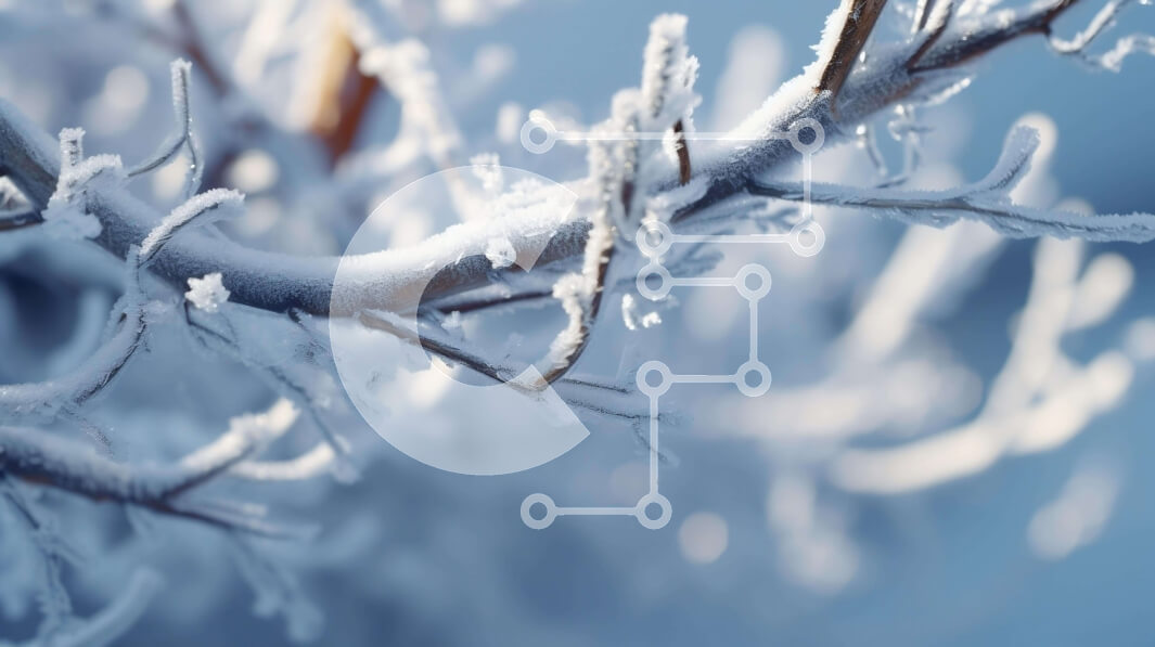 Intra Συλλεκτικό Ξύλινο Παζλ Plywood  4mm - Χιονισμένο κλαδί δέντρου το χειμώνα Σε Ξύλινο Κουτί - Διαστάσεις: 10x10 cm – 25 κομμάτια