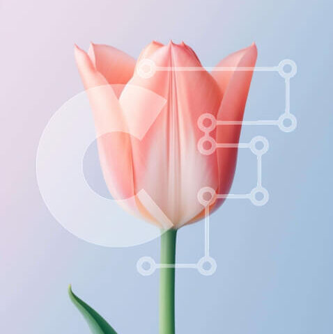 Intra Συλλεκτικό Ξύλινο Παζλ Plywood 4mm - Μονό ροζ λουλούδι τουλίπας σε υπόλευκο φόντο Σε Ξύλινο Κουτί - Διαστάσεις: 10x10 cm – 25 κομμάτια - Image 1