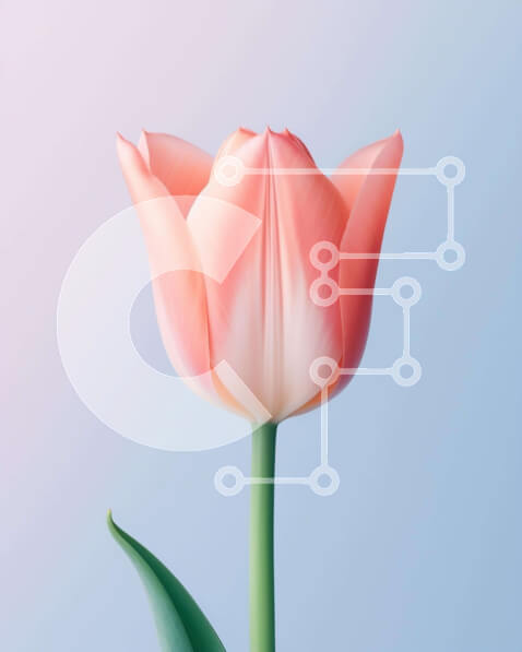 2imAtCRF5HR6g7eP6aVLvB47vUM-desktop