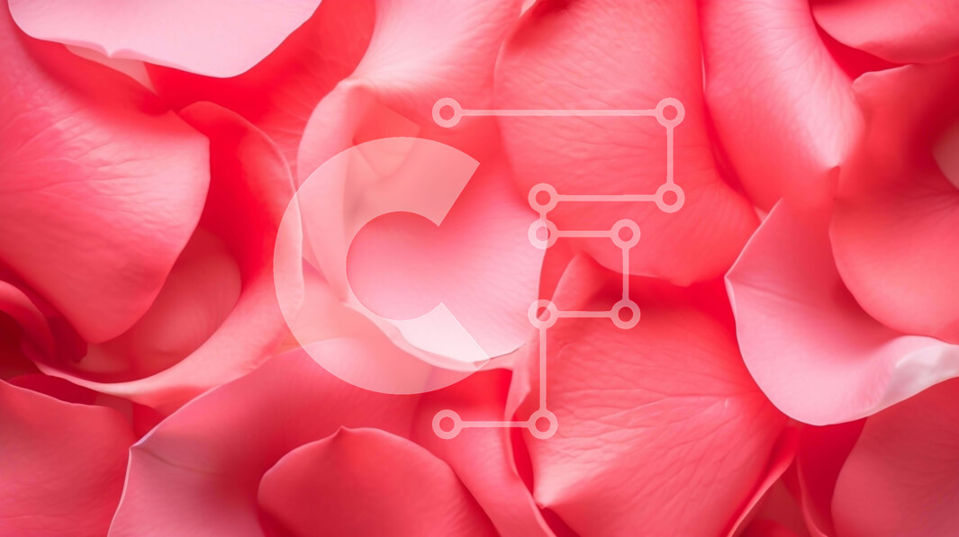 Intra Συλλεκτικό Ξύλινο Παζλ Plywood  4mm - Κοντινό πλάνο με ροζ πέταλα για καλλιτεχνικά υπόβαθρα και διακοσμήσεις Σε Ξύλινο Κουτί - Διαστάσεις: 10x10 cm – 25 κομμάτια