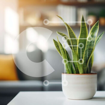 Intra Συλλεκτικό Ξύλινο Παζλ Plywood  4mm - Λευκό φυτό σε γλάστρα σε ανοιχτό χώρο διαβίωσης Σε Ξύλινο Κουτί - Διαστάσεις Puzzle: 10x10 cm – 25 κομμάτια - Image 1