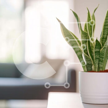 Intra Συλλεκτικό Ξύλινο Παζλ Plywood  4mm - Λευκό φυτό σε γλάστρα σε ανοιχτό σαλόνι Σε Ξύλινο Κουτί - Διαστάσεις Puzzle: 10x10 cm – 25 κομμάτια - Image 1