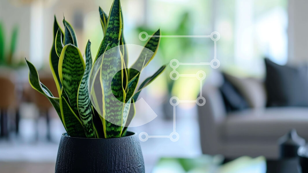 Intra Συλλεκτικό Ξύλινο Παζλ Plywood  4mm - Μαύρο φυτό σε γλάστρα στο τραπέζι του σαλονιού Σε Ξύλινο Κουτί - Διαστάσεις Puzzle: 10x10 cm – 25 κομμάτια