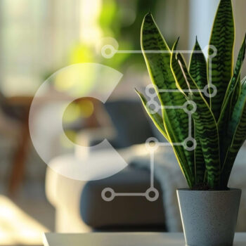 Intra Συλλεκτικό Ξύλινο Παζλ Plywood  4mm - Μικρό φυτό σε γλάστρα σε τραπεζάκι σαλονιού στο ανοιχτό σαλόνι Σε Ξύλινο Κουτί - Διαστάσεις Puzzle: 10x10 cm – 25 κομμάτια - Image 1