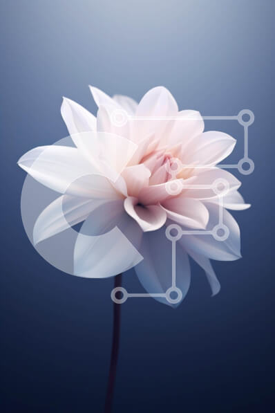 Intra Συλλεκτικό Ξύλινο Παζλ Plywood  4mm - Ενιαίο λευκό λουλούδι σε αφηρημένο μπλε φόντο Σε Ξύλινο Κουτί - Διαστάσεις Puzzle: 10x10 cm – 25 κομμάτια