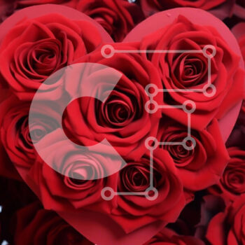 Intra Συλλεκτικό Ξύλινο Παζλ Plywood  4mm - Σύνθεση σε σχήμα καρδιάς από κόκκινα τριαντάφυλλα για την ημέρα του Αγίου Βαλεντίνου Σε Ξύλινο Κουτί - Διαστάσεις Puzzle: 10x10 cm – 25 κομμάτια - Image 1