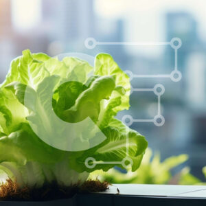 Intra Συλλεκτικό Ξύλινο Παζλ Plywood  4mm - Φυτό μαρουλιού σε γλάστρα σε αστικό τοπίο Σε Ξύλινο Κουτί - Διαστάσεις: 10x10 cm – 25 κομμάτια