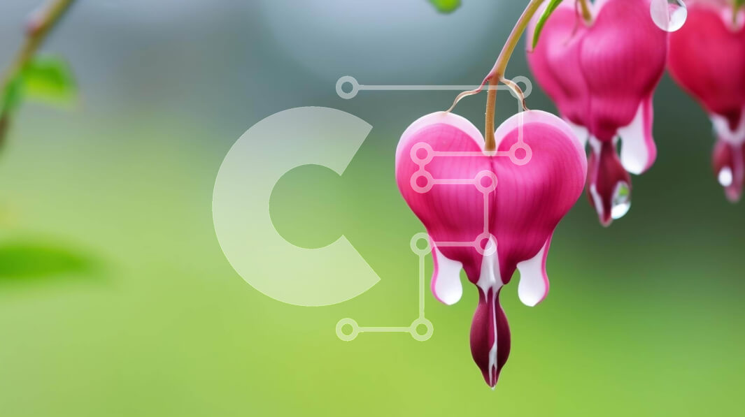 Intra Συλλεκτικό Ξύλινο Παζλ Plywood  4mm - Ροζ αιμορραγικά λουλούδια καρδιάς με σταγονίδια νερού Σε Ξύλινο Κουτί - Διαστάσεις: 10x10 cm – 25 κομμάτια