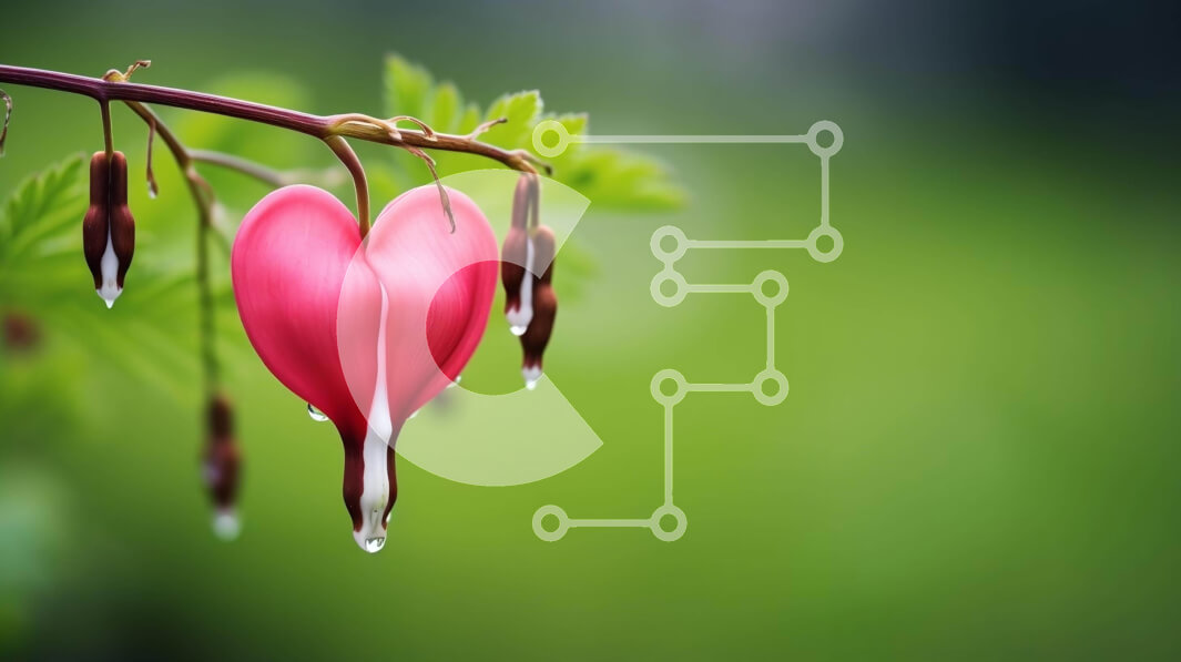 Intra Συλλεκτικό Ξύλινο Παζλ Plywood  4mm - Κόκκινο λουλούδι σε σχήμα καρδιάς με σταγόνες νερού Σε Ξύλινο Κουτί - Διαστάσεις: 10x10 cm – 25 κομμάτια