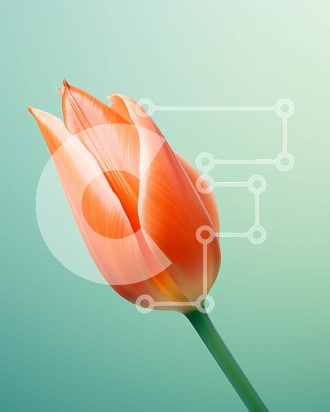 2imBBMb3C7I9uBkeIQEh0OzA8aA-desktop