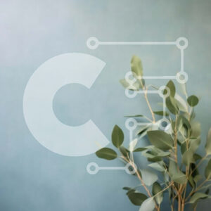 Intra Συλλεκτικό Ξύλινο Παζλ Plywood  4mm - Όμορφη εικόνα μιας μικρής ελιάς σε γλάστρα σε ένα ξύλινο τραπέζι Σε Ξύλινο Κουτί - Διαστάσεις Puzzle: 10x10 cm – 25 κομμάτια