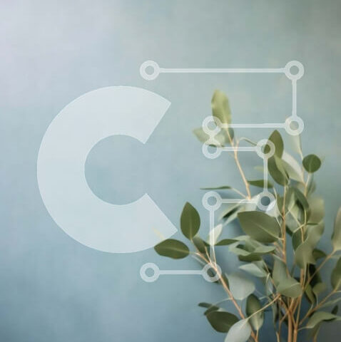 Intra Συλλεκτικό Ξύλινο Παζλ Plywood  4mm - Όμορφη εικόνα μιας μικρής ελιάς σε γλάστρα σε ένα ξύλινο τραπέζι Σε Ξύλινο Κουτί - Διαστάσεις Puzzle: 10x10 cm – 25 κομμάτια - Image 1