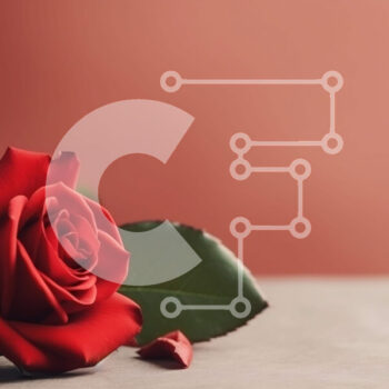 Intra Συλλεκτικό Ξύλινο Παζλ Plywood  4mm - Ρομαντικό κόκκινο τριαντάφυλλο σε ζωντανό πορτοκαλί φόντο Σε Ξύλινο Κουτί - Διαστάσεις Puzzle: 10x10 cm – 25 κομμάτια - Image 1