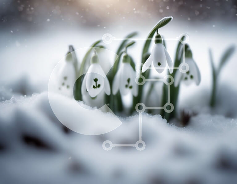 Intra Συλλεκτικό Ξύλινο Παζλ Plywood  4mm - Snowdrops in the Snow Σε Ξύλινο Κουτί - Διαστάσεις: 10x10 cm – 25 κομμάτια