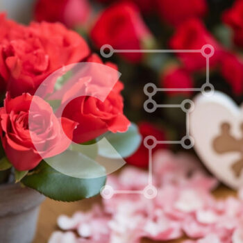 Intra Συλλεκτικό Ξύλινο Παζλ Plywood  4mm - Ρομαντική διακόσμηση του Αγίου Βαλεντίνου με κόκκινα τριαντάφυλλα Σε Ξύλινο Κουτί - Διαστάσεις Puzzle: 10x10 cm – 25 κομμάτια - Image 1