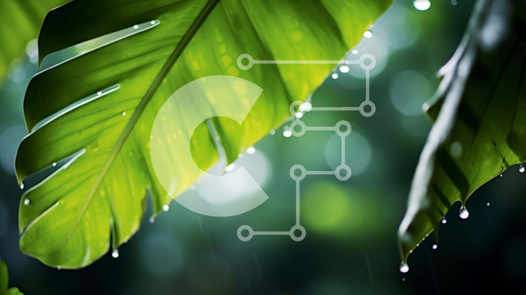 Intra Συλλεκτικό Ξύλινο Παζλ Plywood  4mm - Κοντινό πλάνο πράσινων φύλλων με σταγονίδια νερού Σε Ξύλινο Κουτί - Διαστάσεις: 10x10 cm – 25 κομμάτια