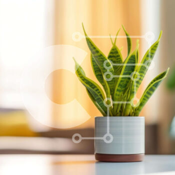 Intra Συλλεκτικό Ξύλινο Παζλ Plywood  4mm - Μικρό φυτό σε γλάστρα στο σαλόνι Σε Ξύλινο Κουτί - Διαστάσεις Puzzle: 10x10 cm – 25 κομμάτια - Image 1