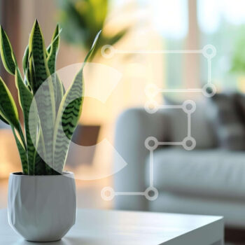 Intra Συλλεκτικό Ξύλινο Παζλ Plywood  4mm - Λευκό φυτό σε γλάστρα στο τέλος του τραπεζιού του σαλονιού Σε Ξύλινο Κουτί - Διαστάσεις Puzzle: 10x10 cm – 25 κομμάτια - Image 1