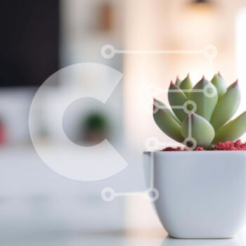 Intra Συλλεκτικό Ξύλινο Παζλ Plywood  4mm - Μικρό φυτό σε γλάστρα σε λευκό τραπέζι με τηλεοράσεις στο φόντο Σε Ξύλινο Κουτί - Διαστάσεις Puzzle: 10x10 cm – 25 κομμάτια - Image 1