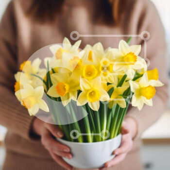 Intra Συλλεκτικό Ξύλινο Παζλ Plywood  4mm - Γυναίκα που κρατά λευκό βάζο με κίτρινους νάρκισσους Σε Ξύλινο Κουτί - Διαστάσεις Puzzle: 10x10 cm – 25 κομμάτια - Image 1