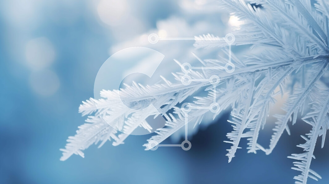 Intra Συλλεκτικό Ξύλινο Παζλ Plywood  4mm - Κοντινό πλάνο του παγωμένου κλάδου με τους κρυστάλλους πάγου Σε Ξύλινο Κουτί - Διαστάσεις: 10x10 cm – 25 κομμάτια