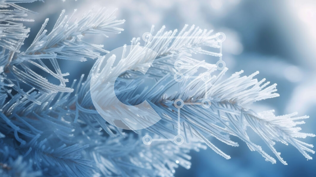 Intra Συλλεκτικό Ξύλινο Παζλ Plywood  4mm - Κοντινό πλάνο του Snowy Branch το χειμώνα Σε Ξύλινο Κουτί - Διαστάσεις: 10x10 cm – 25 κομμάτια