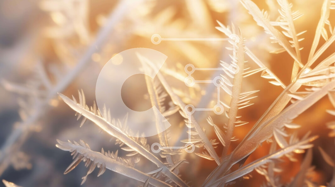 Intra Συλλεκτικό Ξύλινο Παζλ Plywood  4mm - Κοντινό πλάνο κρυστάλλων πάγου με παγετό ή νιφάδες χιονιού Σε Ξύλινο Κουτί - Διαστάσεις: 10x10 cm – 25 κομμάτια