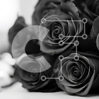 Intra Συλλεκτικό Ξύλινο Παζλ Plywood  4mm - Μπουκέτο μαύρα τριαντάφυλλα με πέρλες και γλυκά Σε Ξύλινο Κουτί - Διαστάσεις Puzzle: 10x10 cm – 25 κομμάτια - Image 1