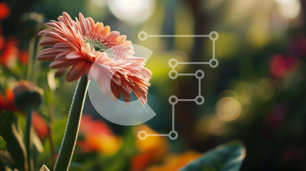 Intra Συλλεκτικό Ξύλινο Παζλ Plywood  4mm - Μονό ροζ λουλούδι που περιβάλλεται από πολύχρωμα λουλούδια Σε Ξύλινο Κουτί - Διαστάσεις: 10x10 cm – 25 κομμάτια