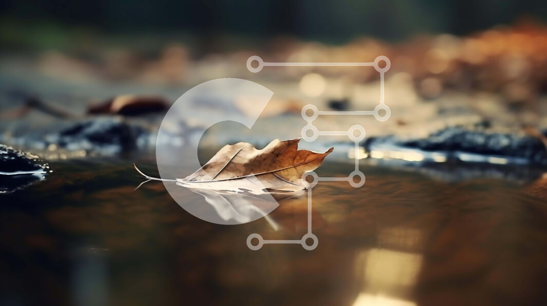 Intra Συλλεκτικό Ξύλινο Παζλ Plywood  4mm - Φθινοπωρινό φύλλο που επιπλέει στο νερό Σε Ξύλινο Κουτί - Διαστάσεις: 10x10 cm – 25 κομμάτια