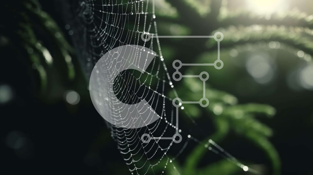 Intra Συλλεκτικό Ξύλινο Παζλ Plywood  4mm - Κοντινό πλάνο ενός ιστού αράχνης με σταγονίδια νερού Σε Ξύλινο Κουτί - Διαστάσεις: 10x10 cm – 25 κομμάτια