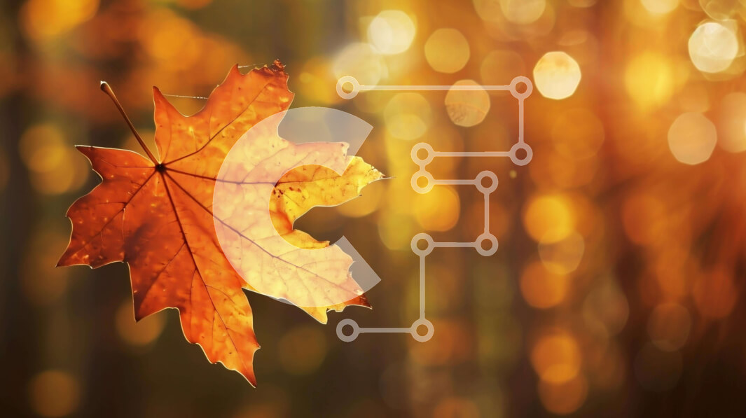 Intra Συλλεκτικό Ξύλινο Παζλ Plywood  4mm - Φθινοπωρινό φύλλο που επιπλέει σε δασικό φόντο Σε Ξύλινο Κουτί - Διαστάσεις: 10x10 cm – 25 κομμάτια