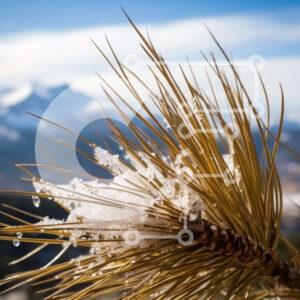 Intra Συλλεκτικό Ξύλινο Παζλ Plywood  4mm - Χιονισμένο κλαδί πεύκου με βουνά στο βάθος Σε Ξύλινο Κουτί - Διαστάσεις: 10x10 cm – 25 κομμάτια